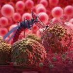 Imagen de WhatsApp 2025-09-01 a las 18.08.58_8c36b609