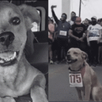 3b19ab0f-c61b-4c8e-8034-b8e2d77695b1