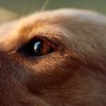 Imagen de WhatsApp 2025-09-29 a las 11.58.21_fbd76662