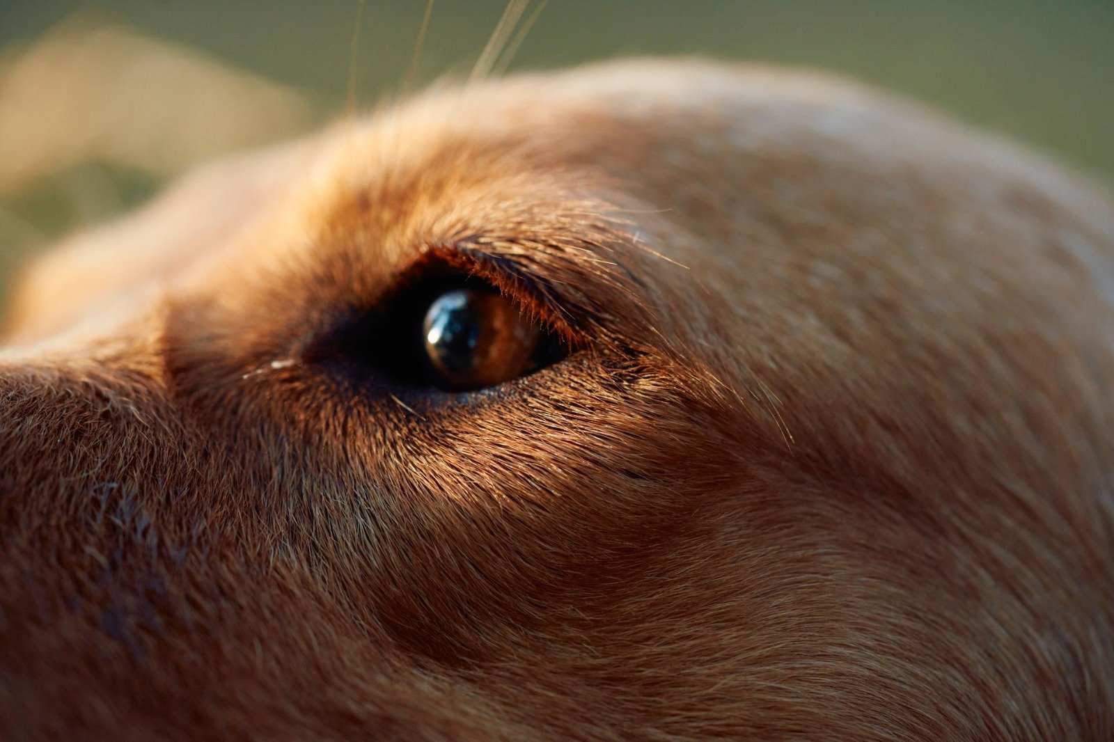 Imagen de WhatsApp 2025-09-29 a las 11.58.21_fbd76662