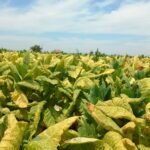 PHOTO-2025-10-13-08-39-50 3