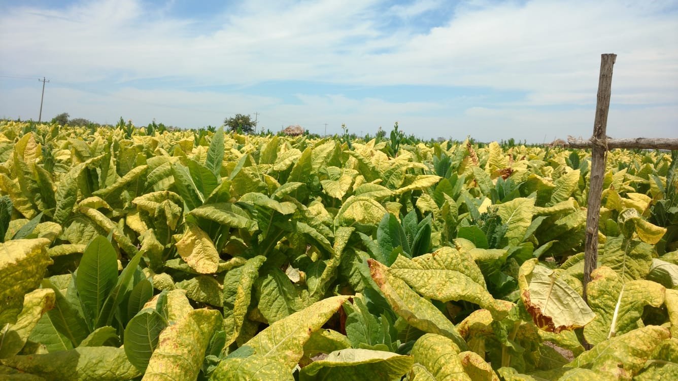 PHOTO-2025-10-13-08-39-50 3