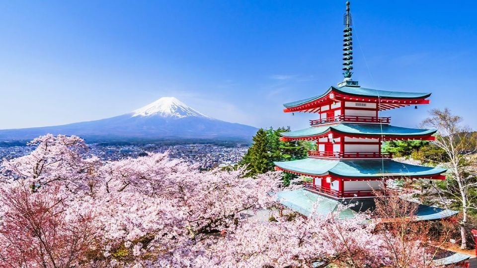 ba18af3d-d043-4f0b-9d4f-0d51c23a52c0