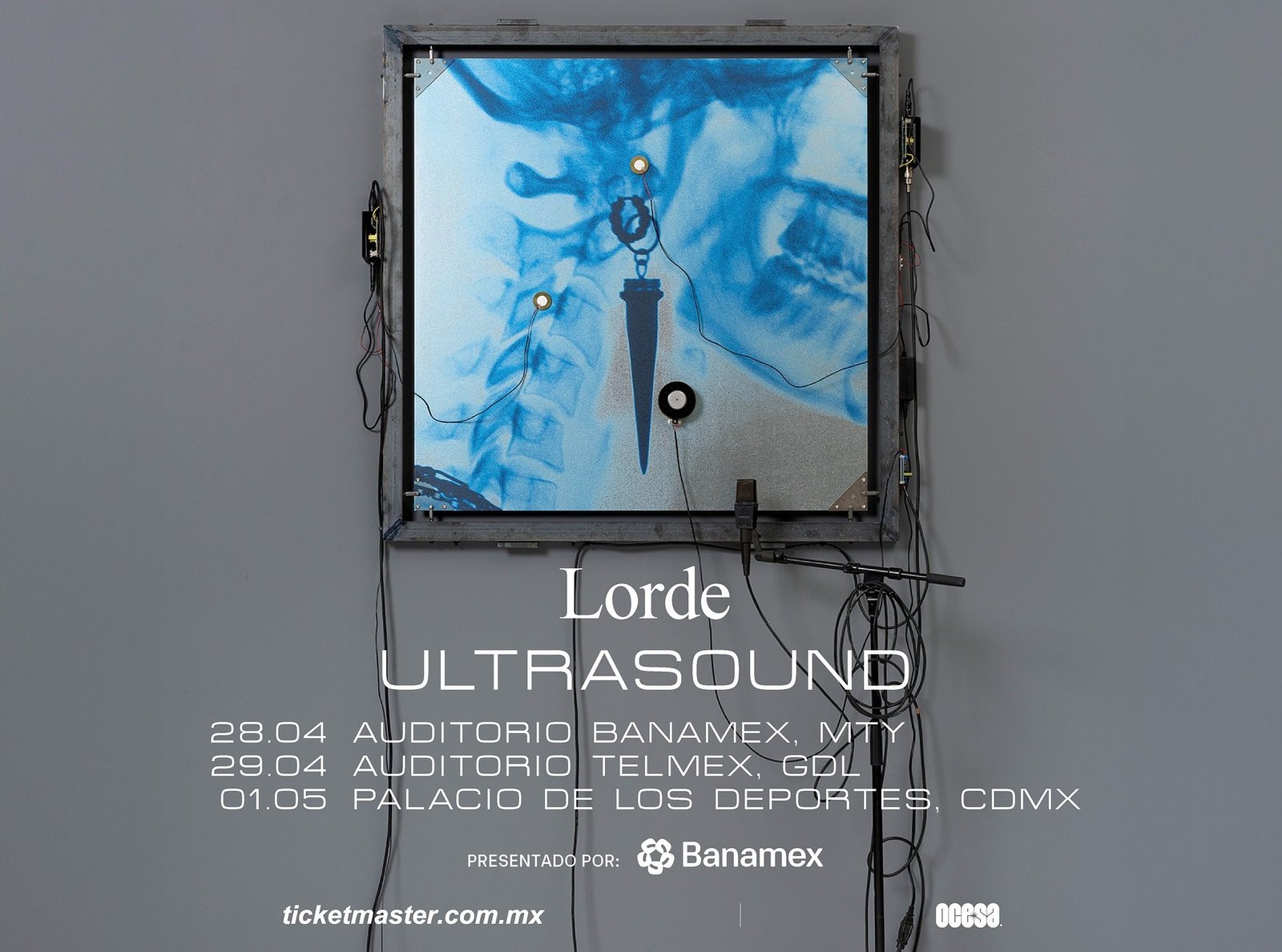 image_processing20251024-8-6ls5qu