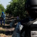 limoneros-michoacan-191915