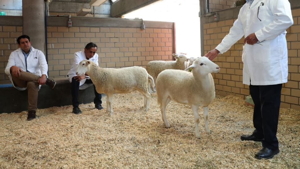 5572cfb0-a6f7-440f-9abb-ac1b557b95ff