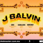 image_processing20251124-8-2k3jcp