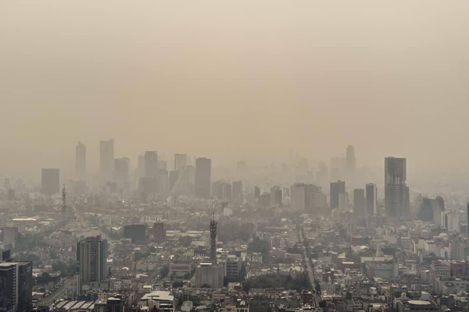 60422877_2285026848426425_4425903900914089984_n