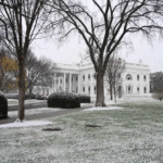 cd8e803d-3560-4311-84fd-ac16fb09c469