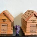 Los seguros para mascotas ganan terreno en México ante el aumento de costos veterinarios, pero sólo 4.0 por ciento tienen un seguro que los proteja. AMEXI/Foto/Adriana Urrea.