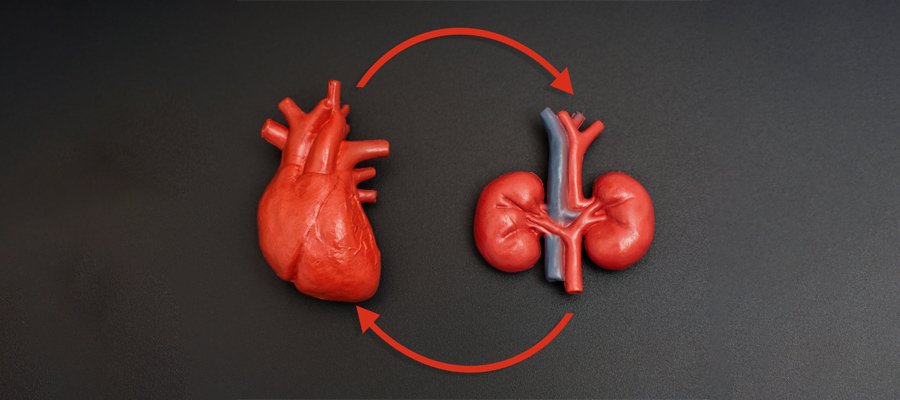 cardiorenal-syndrome