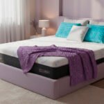 Ambientada nomadAmbientada