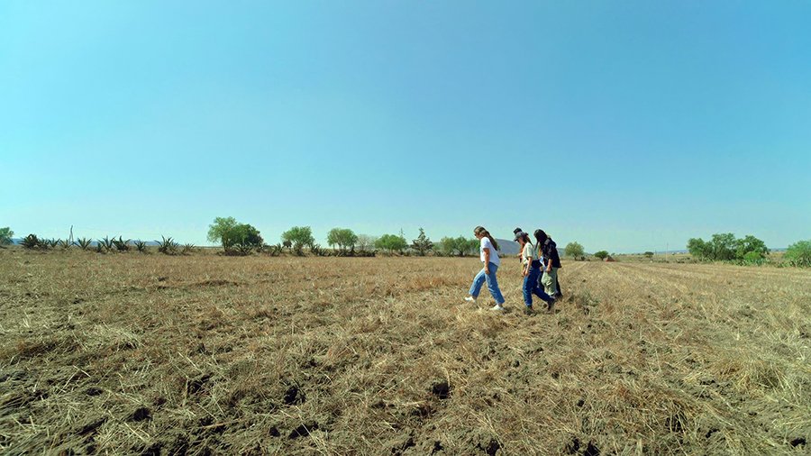 El agua en 2026: por qué la gestión del agua debe partir de la cuenca, el territorio y los datos 