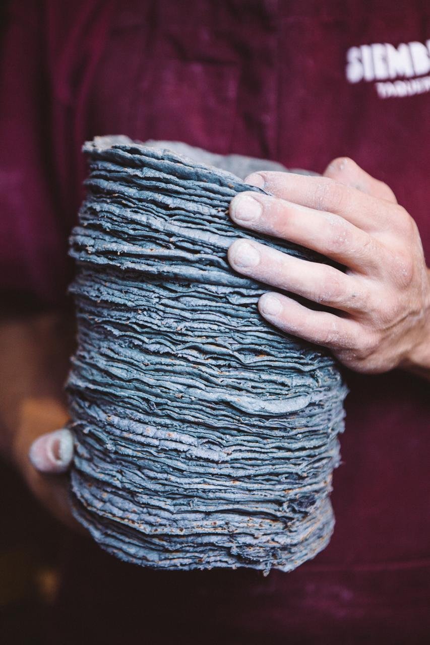 PHOTO-2026-02-05-12-01-54