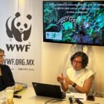 Urge WWF México a multiplicar esfuerzos para frenar la triple crisis ambiental