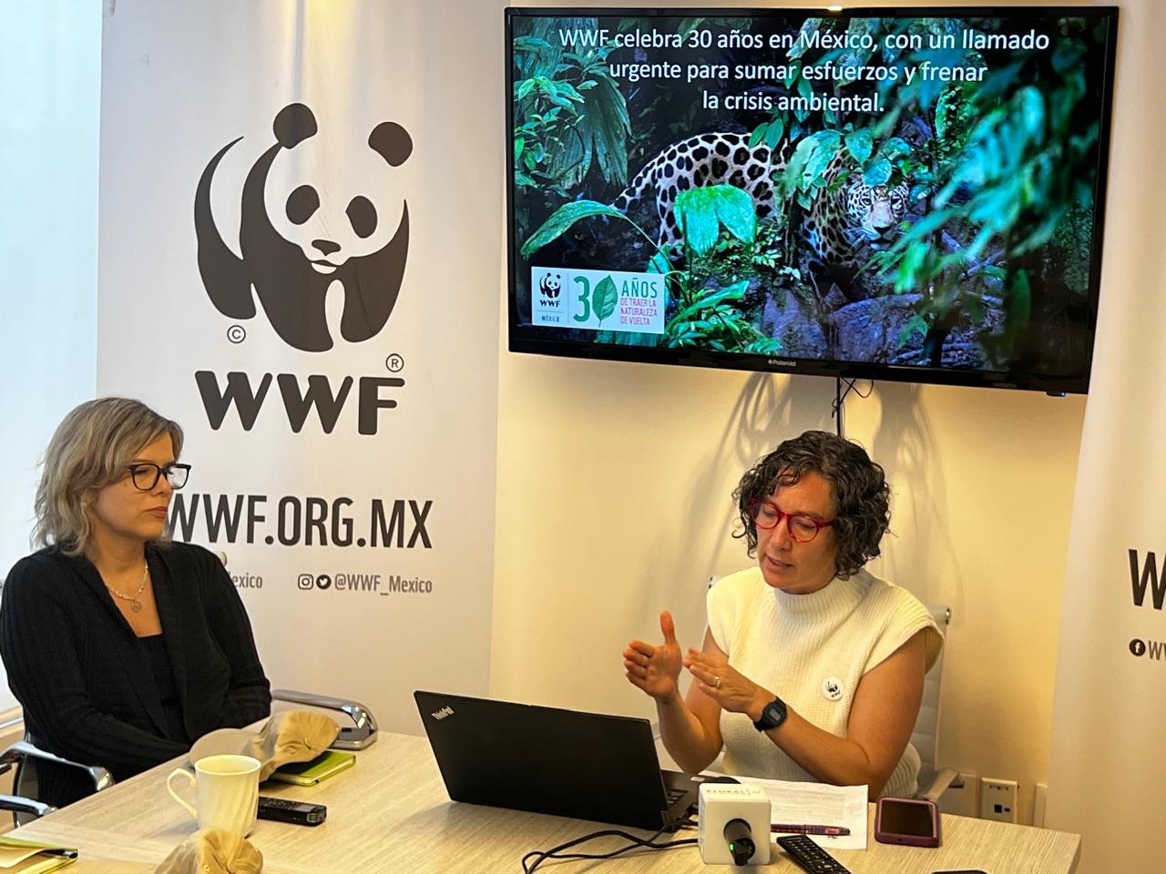 Urge WWF México a multiplicar esfuerzos para frenar la triple crisis ambiental