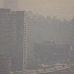 proyecta-came-mas-11-contingencias-2026