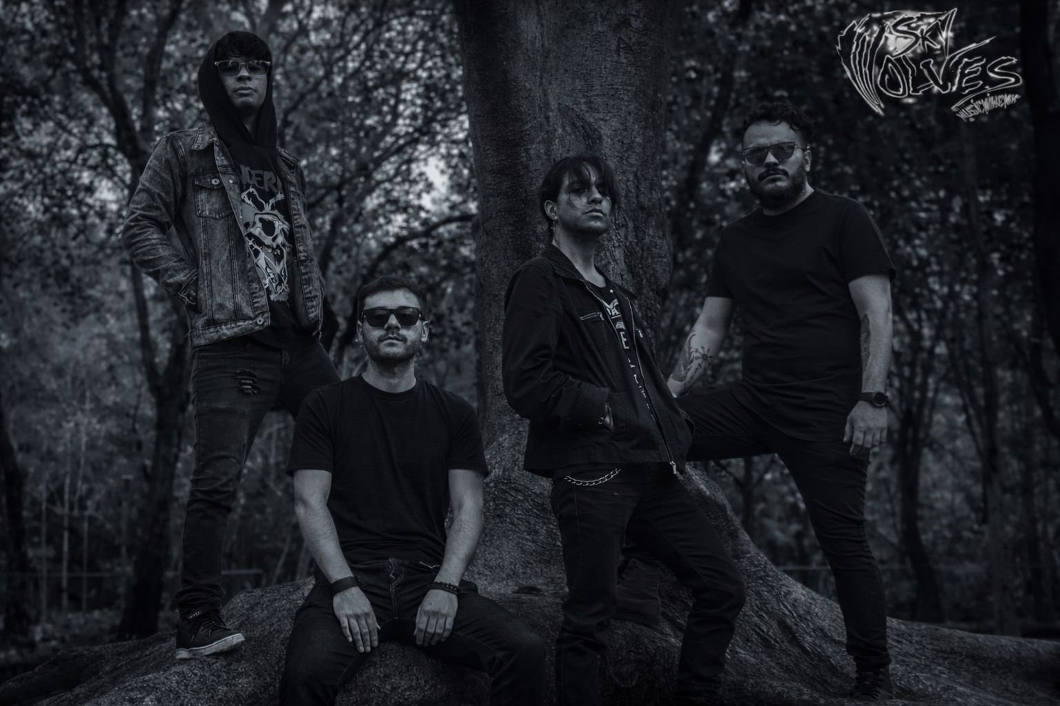 SKYWOLVES LLOVIENDO ESTRELLAS FOTO2