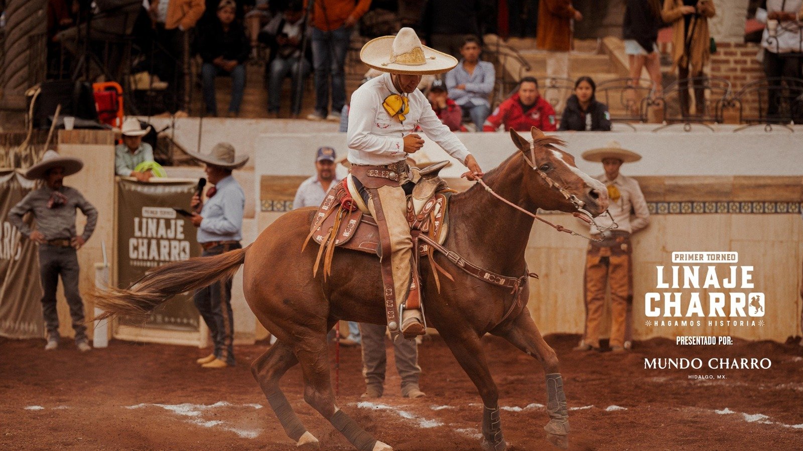 WhatsApp Image 2026-03-19 at 20.00.23 (3)