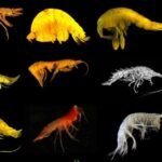 f960x540-142729_216804_3240