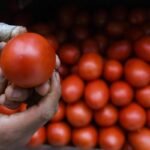 69d7b44d4a807.r_d.1398-1000-4292