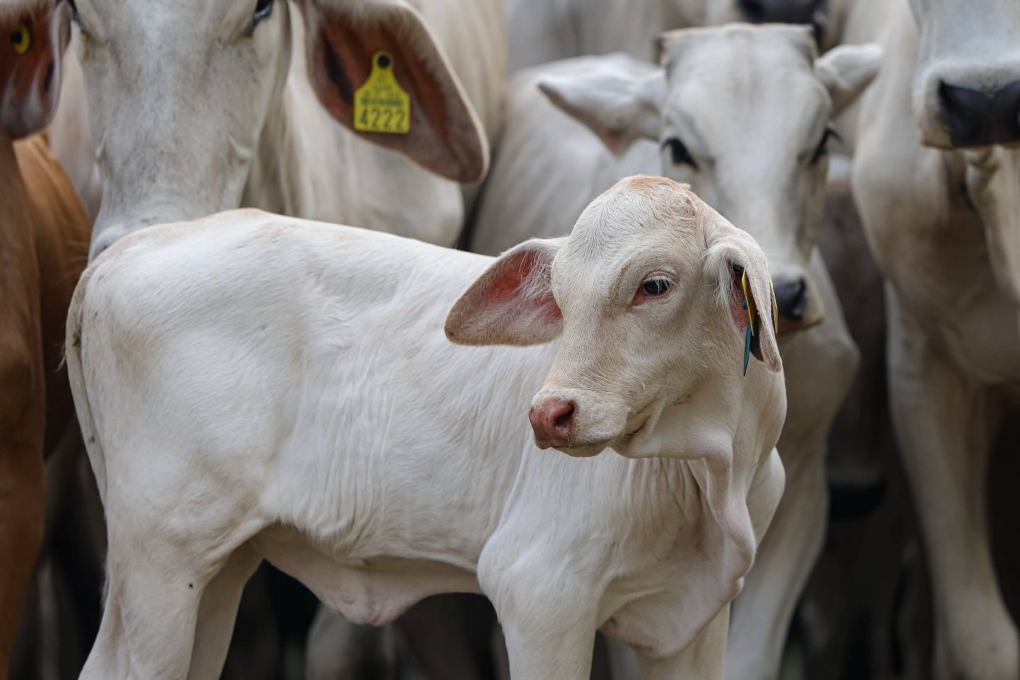 8209385c-9480-4085-b88f-8927a4212fba