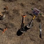 f960x540-143747_217822_5050