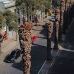 retirara-sedema-9-mil-plameras-cdmx_15_2000x856