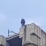 reportan-muerte-hombre-lanzarse-distribuidor-vial-jardin-balbuena_13_1000x428