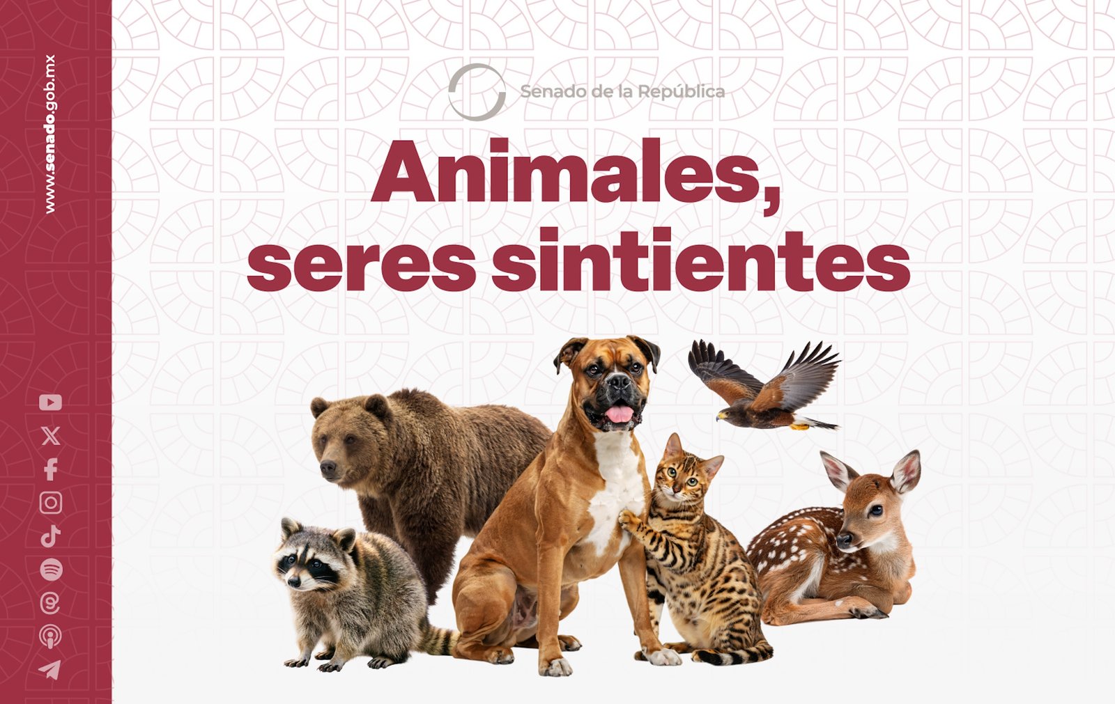 animales