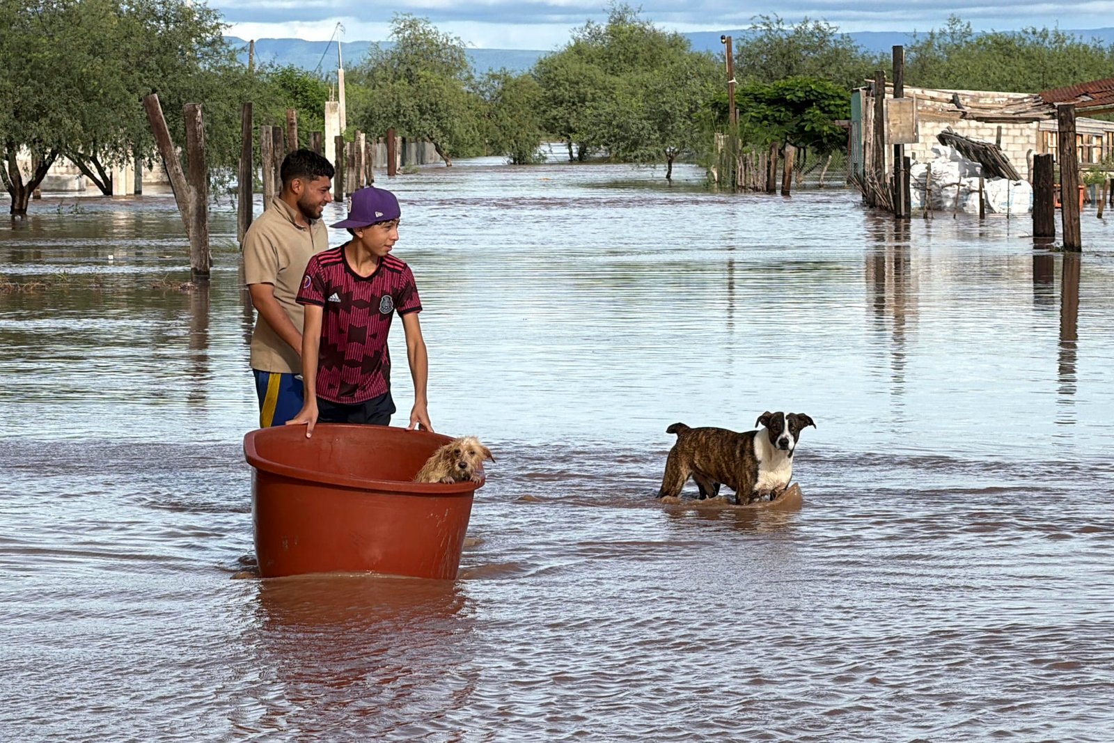 Polo se degrada a baja presión remanente sobre el estado mexicano de Chihuahua
